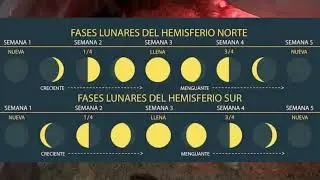 COMO AFECTAN LA LUNA Y EL SOL EL CRECIMIENTO DE LAS CODORNICES