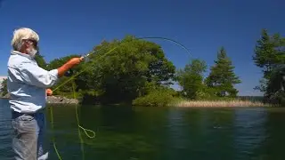 Fly Fishing for Bass - The Essentials to Learning How