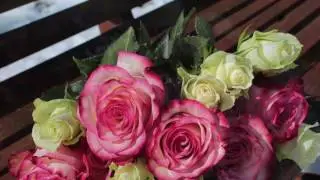 Мы тайнобрачные цветы. Тэффи (слушать стихи о любви)