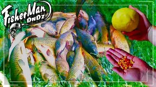 THE ULTIMATE FISHING BAIT. THE KILLER OF ALL BAITS.