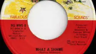 The Dynamics  -What a Shame