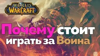 Playing as a Warrior - Is It Fun? [World of Warcraft]