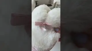 Милые женские тапочки для дома