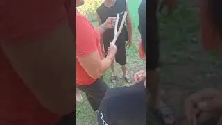5 дней в Багульнике
