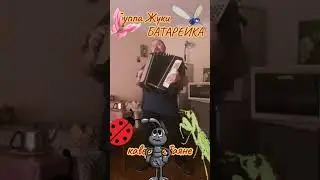 Группа Жуки! Батарейка! Кавер на баяне! 