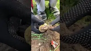 Смотрим что с киндером,пролежавшим в земле 10 месяцев🙀