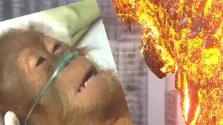 Godzilla once he gets to Skar King