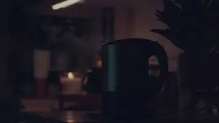 حياة صامتة في البيت