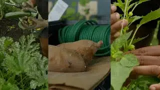 Unearthed Film Series