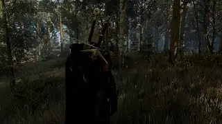 The Witcher 3 Next Gen PC Beautiful forest Ray tracing