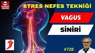 How to reduce stress? Vagus, breath, Longest nerve, Most Important Nerve, Prof.Dr.Serdar Akgün,