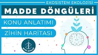 Madde Döngüleri | Konu Anlatımı | 10. Sınıf Biyoloji | TYT Biyoloji