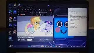 Fluttershy Crying Has BSOD V2