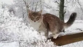 Зимний пейзаж музыка Сергея Чекалина