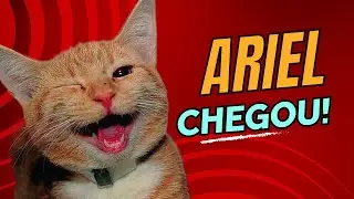 Antonella e Ariel, o novo integrante da Família!