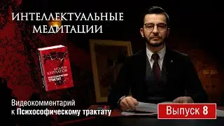 Интеллектуальные медитации. Видеокомментарий к Психософическому трактату: выпуск 8
