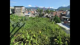 Cassiano (Careca) conta a linda e transformadora história do Teto Verde Favela e os novos caminhos.