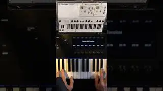 GForce Oberheim OB EZ #udiaudio #musicproduction