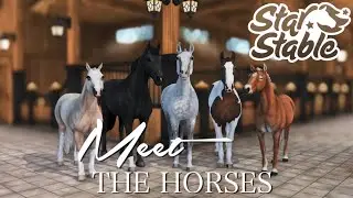 Meet the Horses | SSO RRP