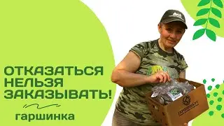 Я зеленая и саженцы тоже! Удачная посылка из 