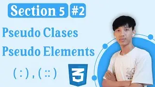 Section 5 - Pseudo Classes & Pseudo Elements | #2