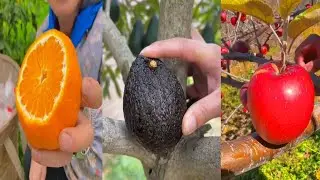 😍Bess Farm Fresh Ninja Fruits | Amazing Fruits Cutting Skills | Oddly Satisfying Videos #29