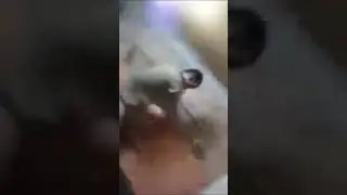 если это говно залетит я стану скибиди туалетом