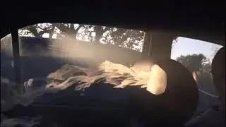 TRUEтень& Эндшпиль На чай