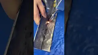 Laser welding machine 