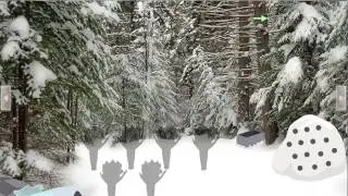 Snow Bear Forest Rescue video walkthrough