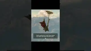 I Got All the Korok Seeds in Zelda Tears of the Kingdom!