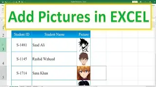 Insert picture in Excel (Resize With Rows & Columns)