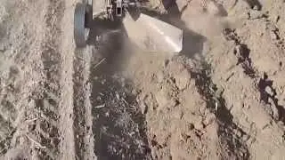 Новый 