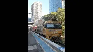 Pacific National, out of the shadows #trains #trainspotting