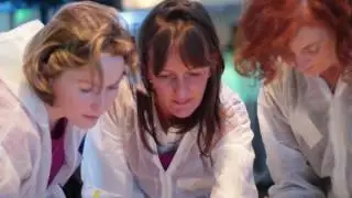 Team Building Activity - The Big Picture