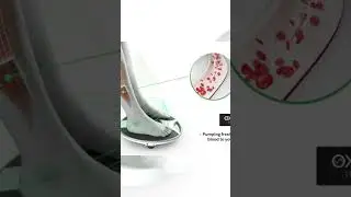 Revitive Medic Circulation Booster #shortsvideo #shorts