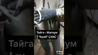 Кто сказал, что капкан сломает собаке лапу?