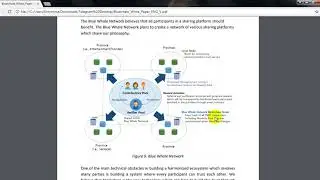 Blue Whale обзор Whitepaper