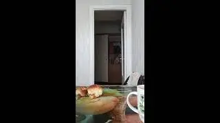 ем кашу 3 часа дня, встал