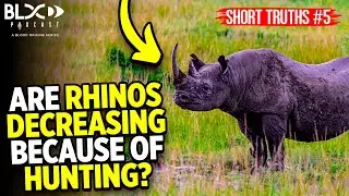 Short Truths #5: Are Rhino's Decreasing because of Hunting?
