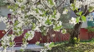 такая красота на улице 