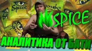 СПАЙС АНАЛИТИКА ОТ БАТИ