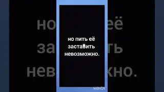 Черный прямоугольник.         Не Малевича.