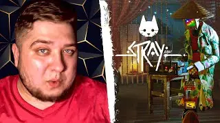 ВЕРНУЛ МОМО НАДЕЖДУ - Stray #4