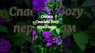 Скажи спасибо Богу перед сном !!!🙏🙏🙏
