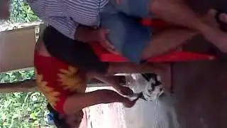 jabaroca roseli matando pato 2