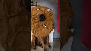 banned halloween costume