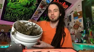 Electric Trimming Scissors By Hygrowhub