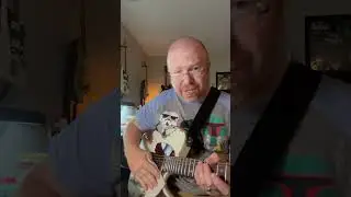How to Get Rid of Static Noise on Your Pickguard