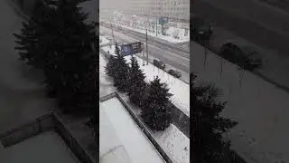 Огромные снежинки в марте! Архангельск